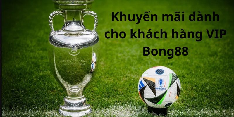 Khuyến mãi cho khách hàng VIP